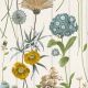 Belgravia Decor Botanist Wood Panel White Green Wallpaper 4772