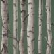 Fine Decor Birch Trees Hunter Green Wallpaper FD43292