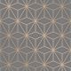 Fine Decor Pulse Star Geometric Charcoal Wallpaper FD42350